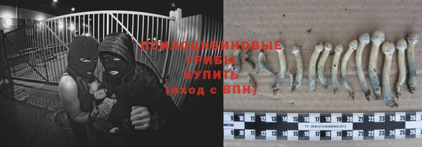 COCAINE Белокуриха