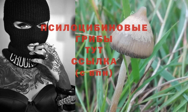 COCAINE Белокуриха