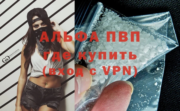 прущие грибы Балабаново