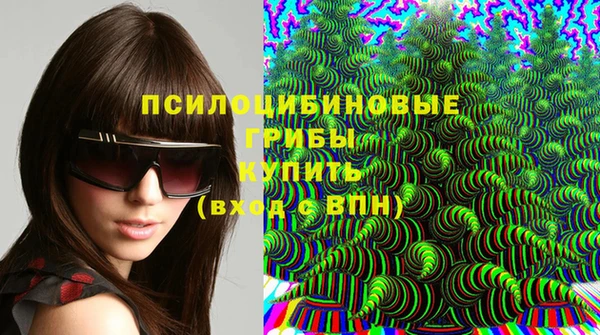 прущие грибы Балабаново