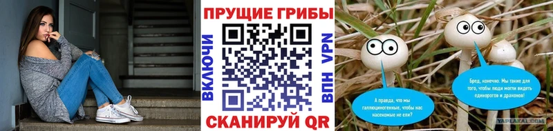 Псилоцибиновые грибы мицелий  наркота  кракен как зайти  Кашира 